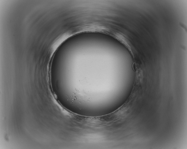 X0000099551103200805161445