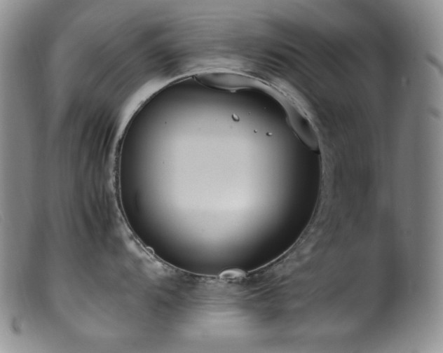 X0000099551104200805161445