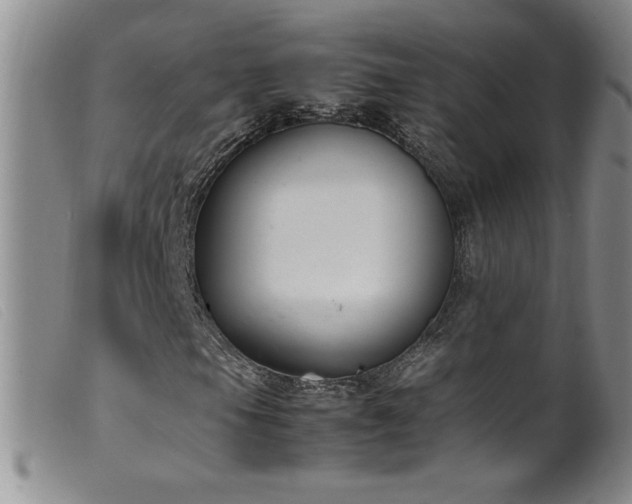X0000099551105200805161445