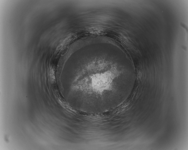 X0000099551106200805161445