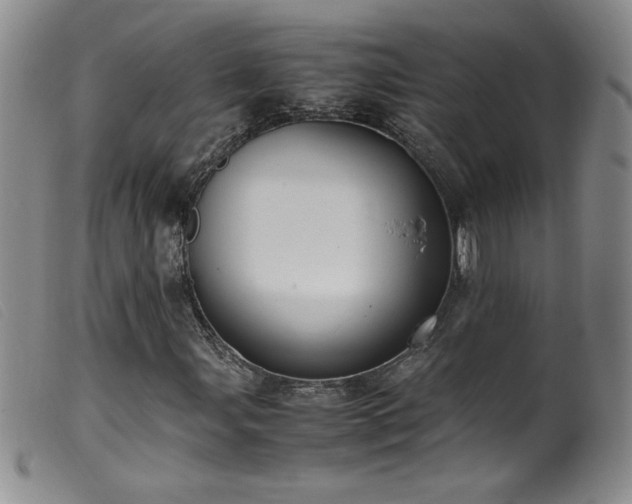 X0000099551107200805161445