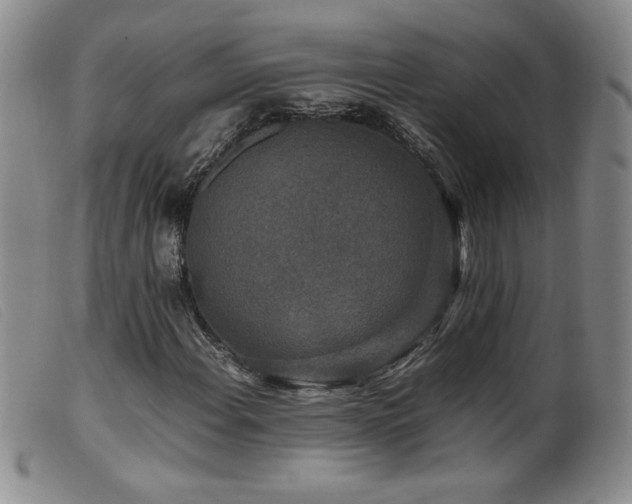 X0000099551108200805161445