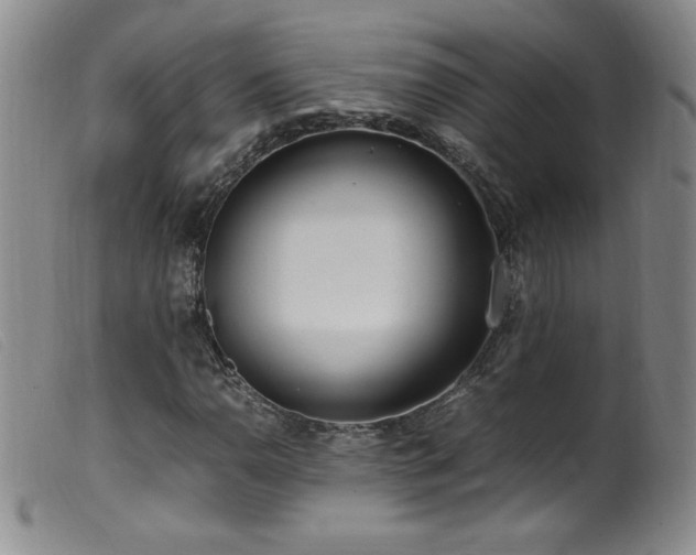 X0000099551110200805161445