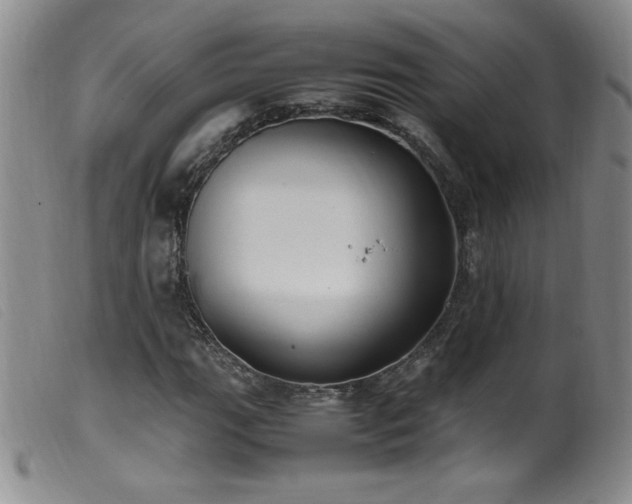 X0000099551111200805161445