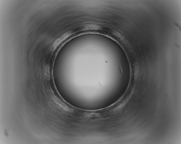 X0000099551113200805161445