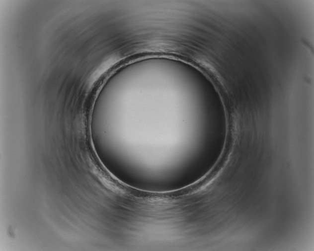 X0000099551114200805161445