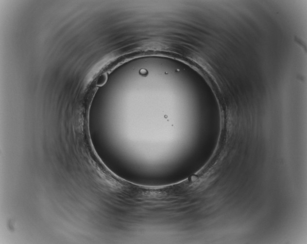 X0000099551115200805161445