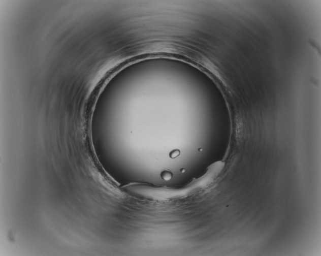 X0000099551116200805161445