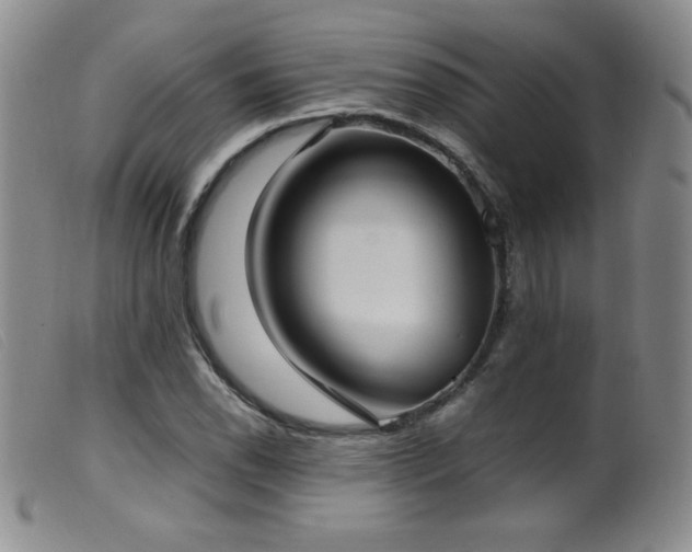 X0000099551118200805161445