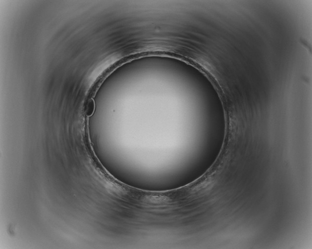 X0000099551119200805161445