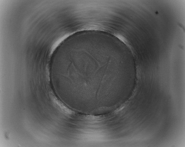 X0000099551120200805161445
