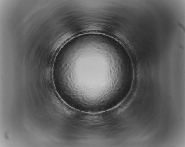 X0000099551121200805161445