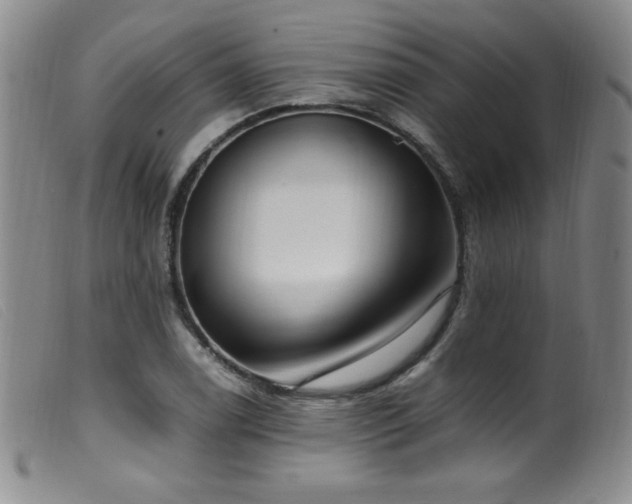 X0000099551122200805161445