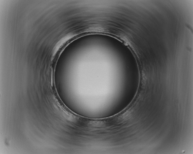 X0000099551123200805161445