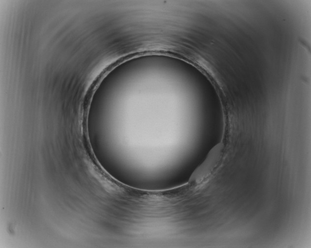 X0000099551124200805161445