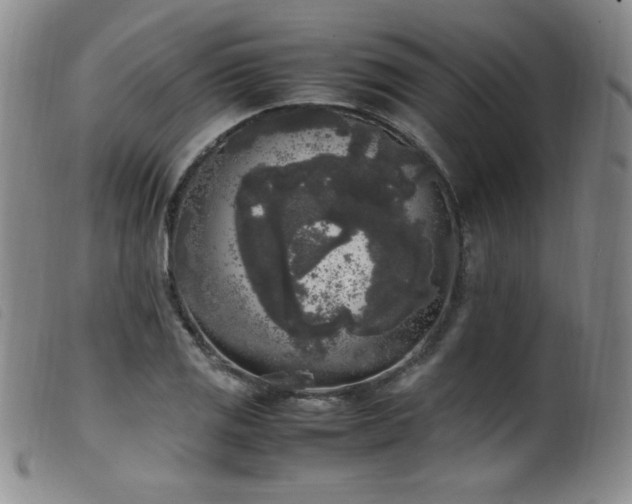 X0000099551125200805161445