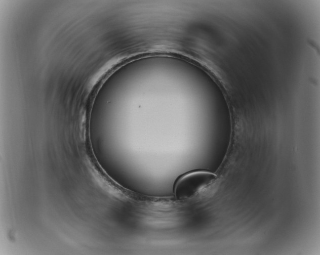 X0000099551126200805161445