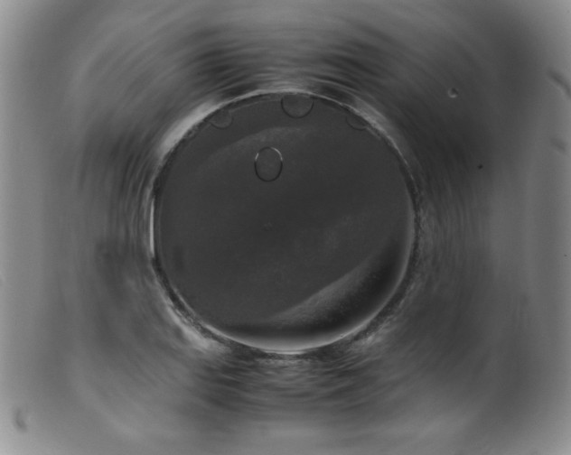 X0000099551127200805161445