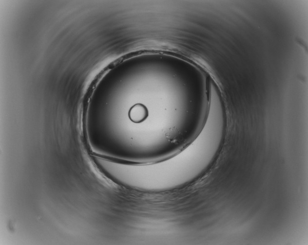 X0000099551128200805161445