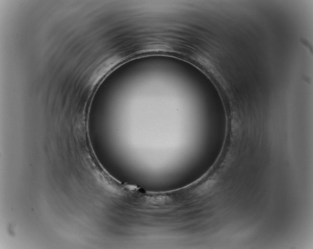 X0000099551129200805161445