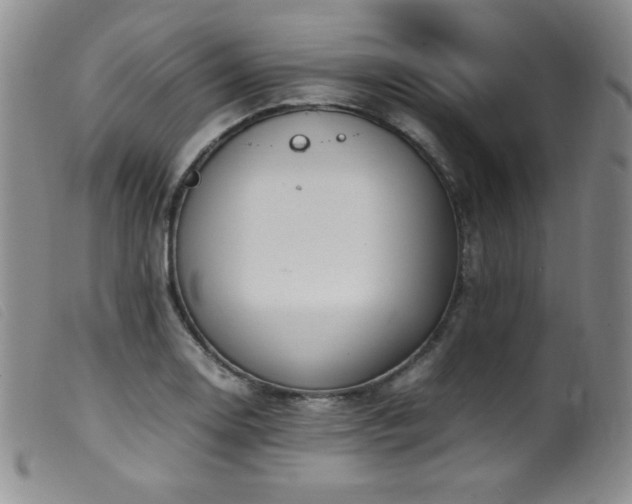 X0000099551130200805161445