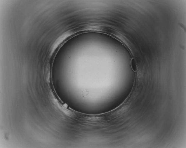 X0000099551131200805161445