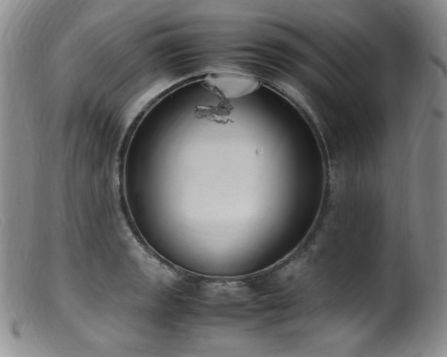 X0000099551133200805161445