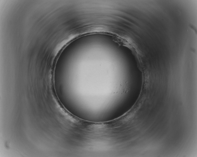 X0000099551134200805161445