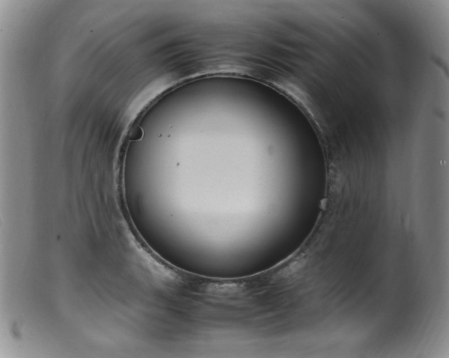 X0000099551135200805161445