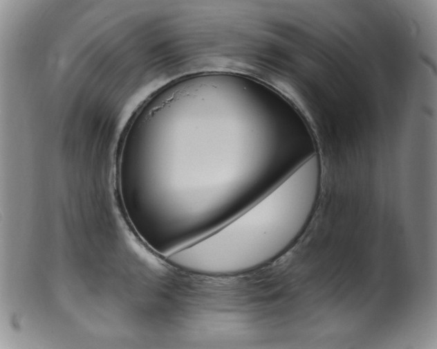 X0000099551136200805161445