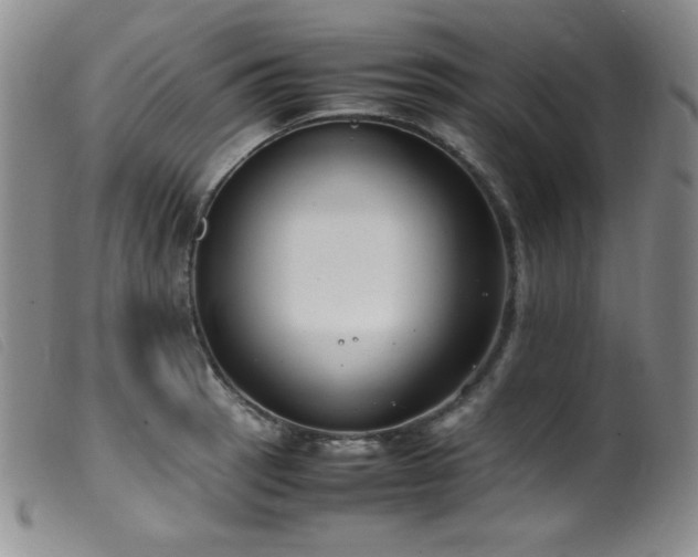 X0000099551137200805161445
