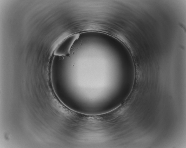 X0000099551138200805161445