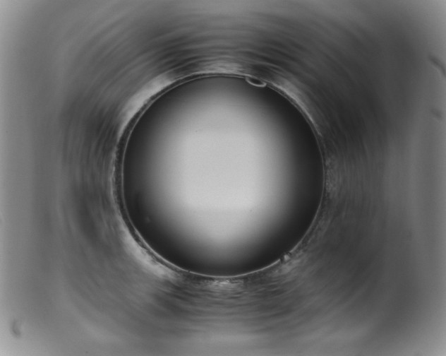 X0000099551139200805161445