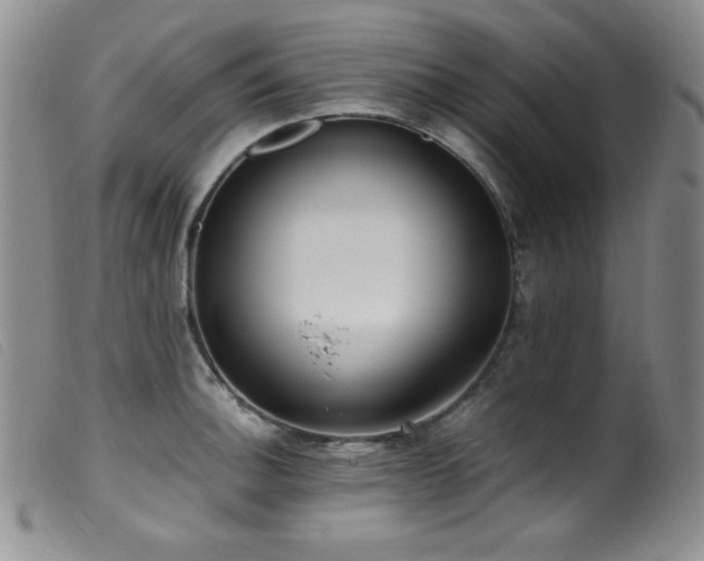 X0000099551140200805161445