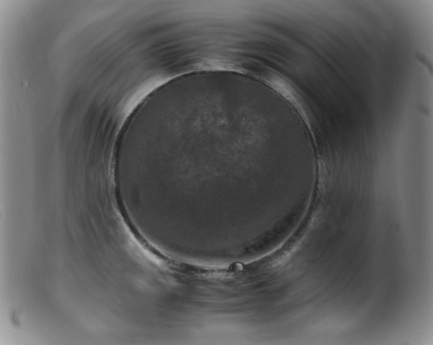 X0000099551141200805161445