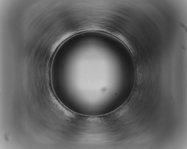 X0000099551142200805161445