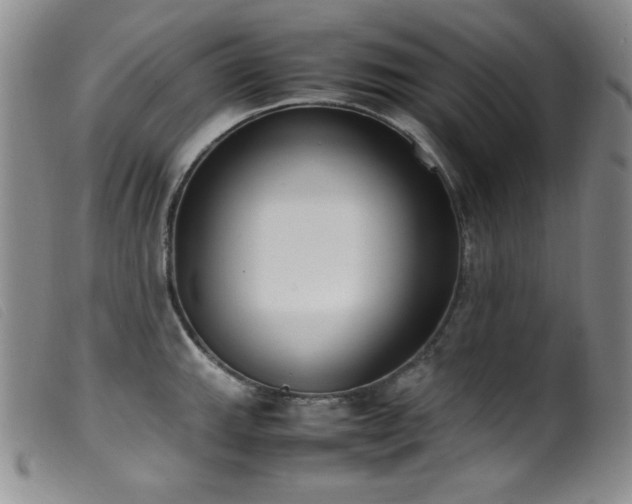 X0000099551143200805161445