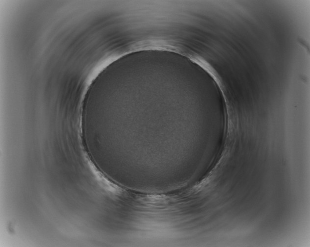X0000099551144200805161445