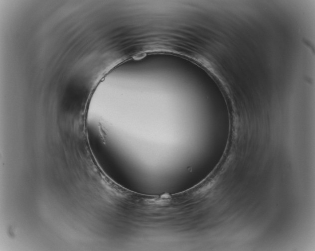 X0000099551145200805161445