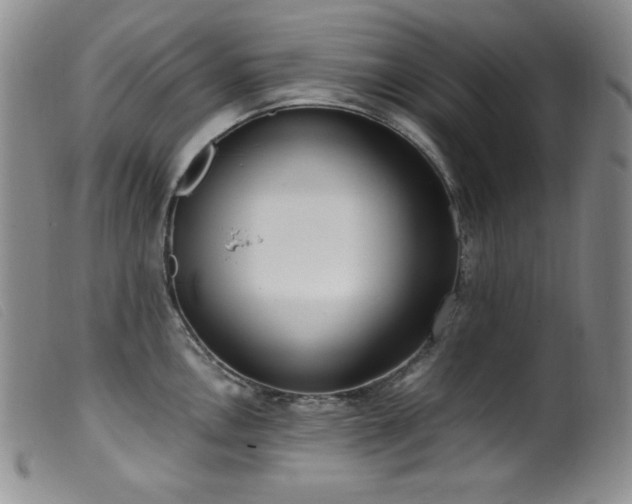 X0000099551146200805161445
