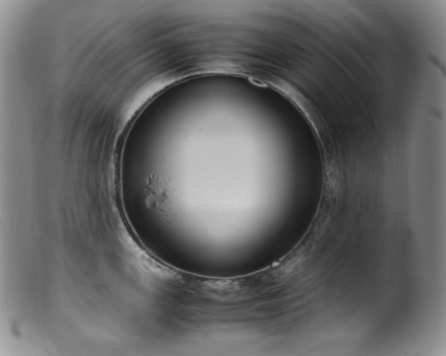 X0000099551147200805161445
