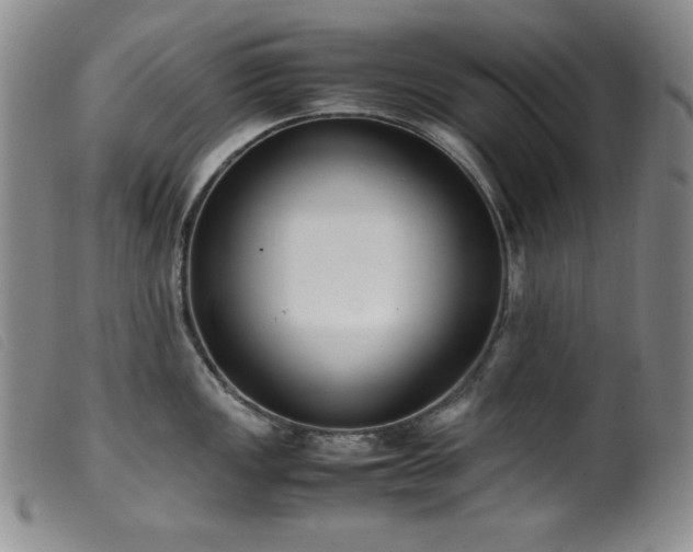 X0000099551149200805161445
