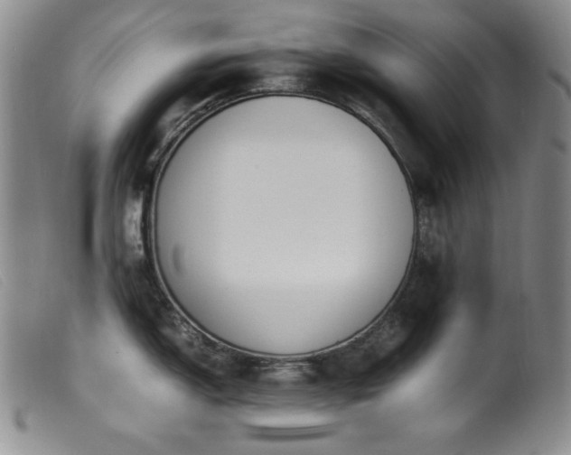 X0000099551150200805161445