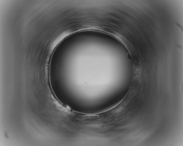 X0000099551151200805161445