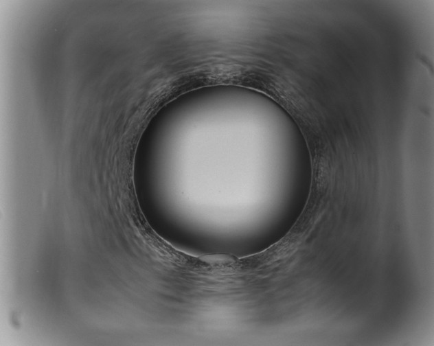 X0000099551153200805161445