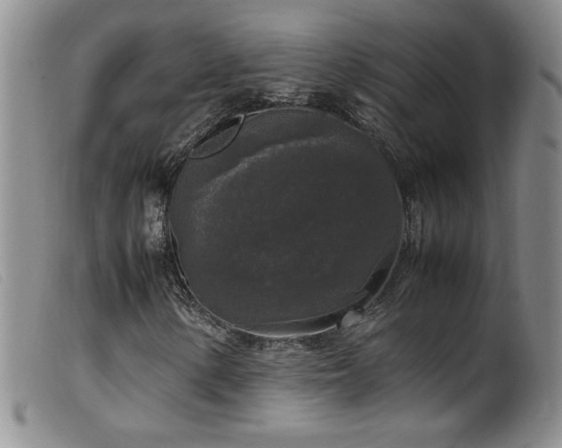 X0000099551154200805161445