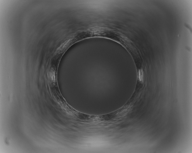 X0000099551155200805161445
