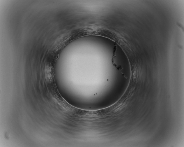 X0000099551156200805161445