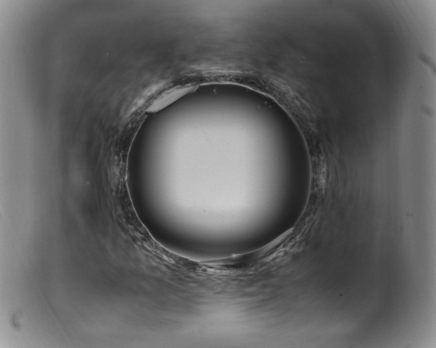 X0000099551157200805161445