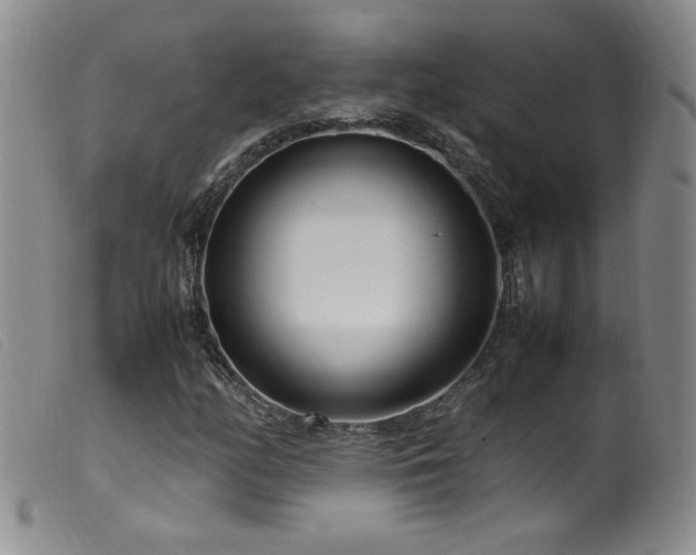 X0000099551158200805161444